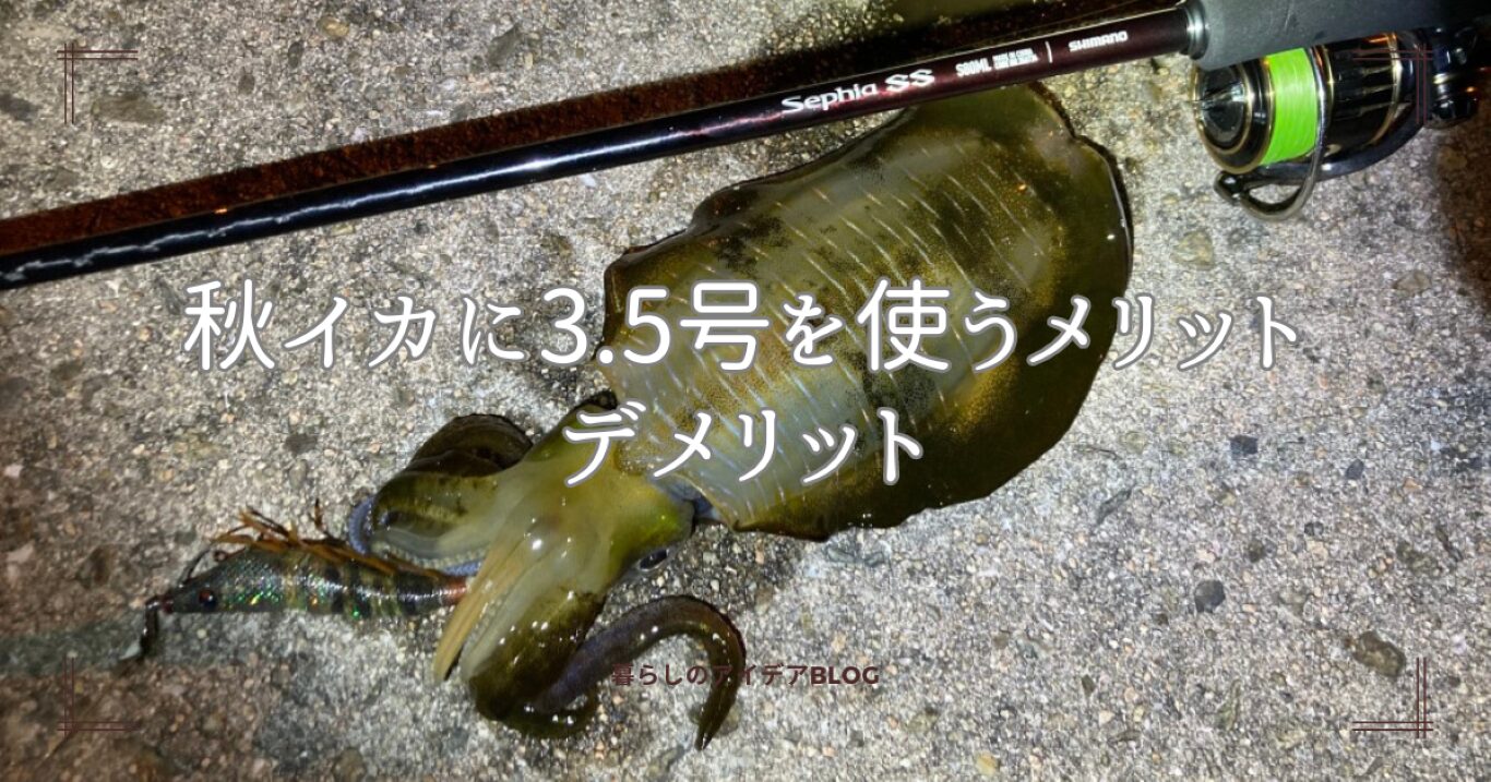 秋イカに3.5号を使うメリットとデメリット | 孤独のフィッシング